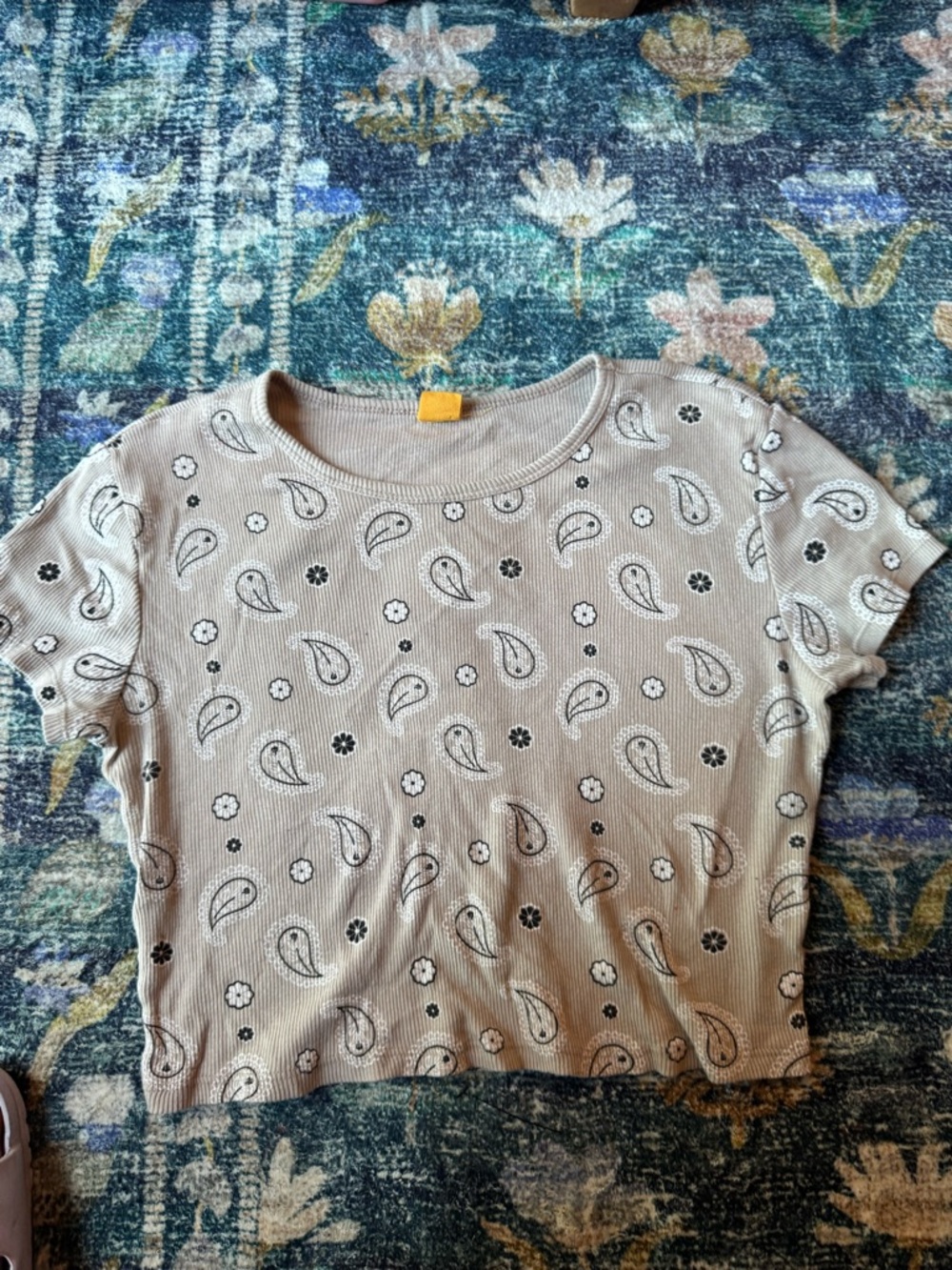 Vibe N’ Short Sleeve Paisley Crop Tee in Beige